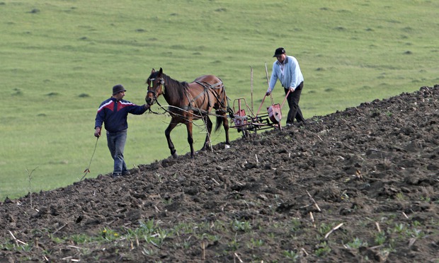 http://static.guim.co.uk/sys-images/Guardian/Pix/pictures/2014/2/18/1392724444473/Peasant-farmers-near-Ploi-013.jpg