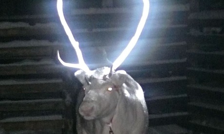 glowing reindeer