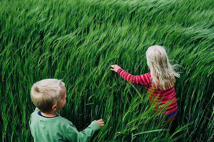 Big Pic - Down's Syndrome: little girl and boy in long grassy field