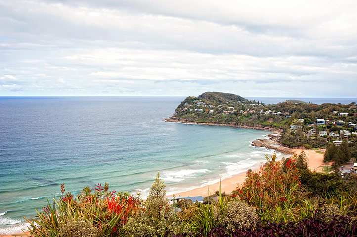 Australia costal: Australia: view of Whale beach, Northern Sydney