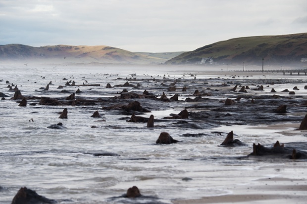 The recent huge storms and gale force winds that have battered the coast of West Wales have stripped away much of the sand from stretches of the beach between Borth and Ynyslas.
