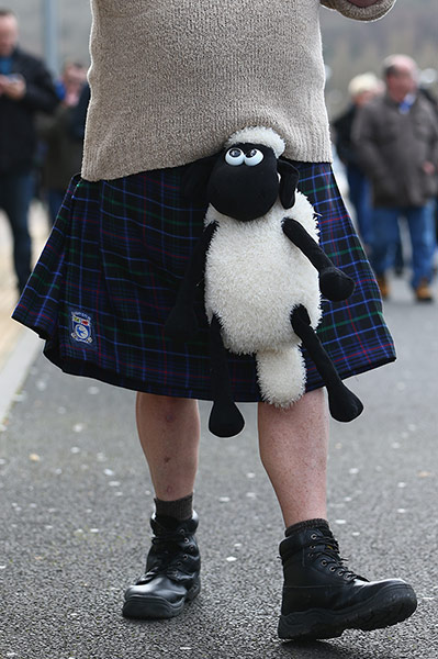 saturday's matches: Cardiff City fan