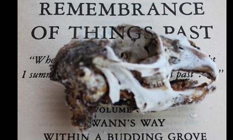 Remembrance of Things Past plus skull