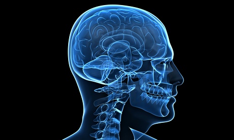A blue xray on a black background of the human brain and skull