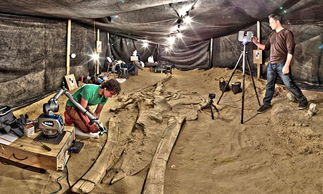 Whale fossil graveyard in Chile