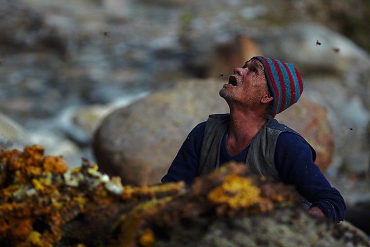 Honey-hunter-Nepal-006.jpg