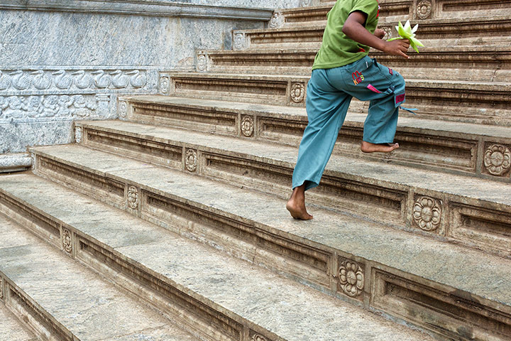 Your Pictures: Your Pictures