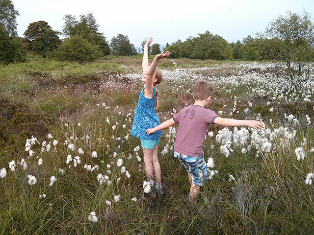 Your Pictures: Your Pictures