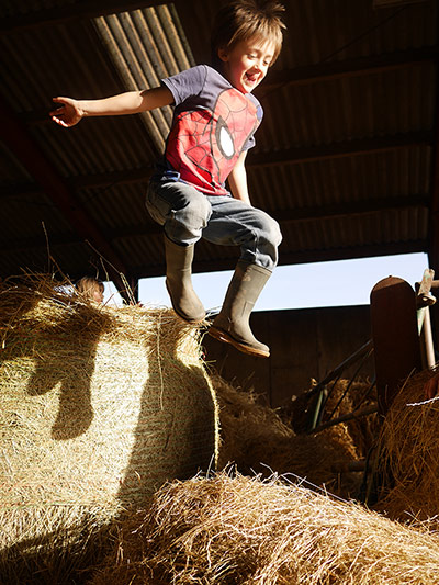 Your Pictures: Your Pictures