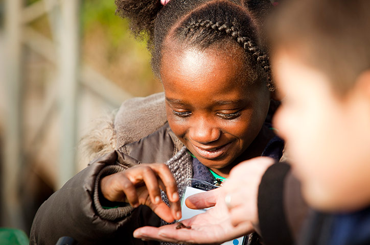 Global Generation worm farm