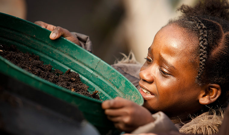 Global Generation worm farm