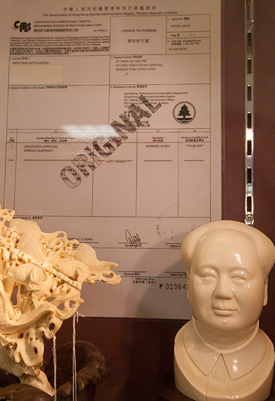 Week in Wildlife: Hong Kong ivory traders offer steep discounts to consumers.