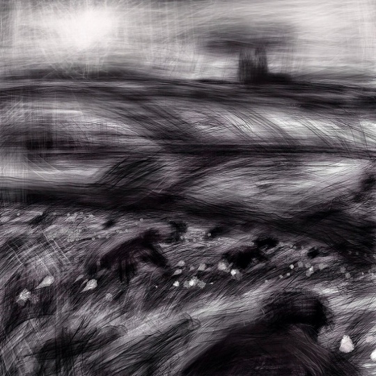 flower picking cornwall