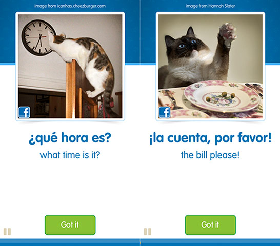 Extreme tech: Memrise
