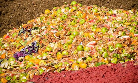 Food waste to be composted