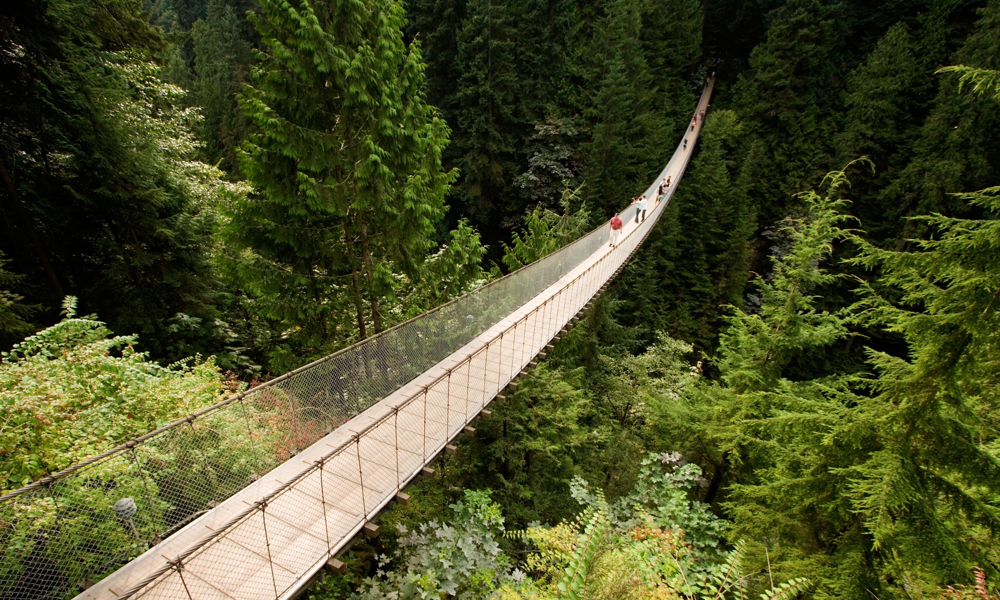 The world's scariest bridges – in pictures | Travel | The Guardian