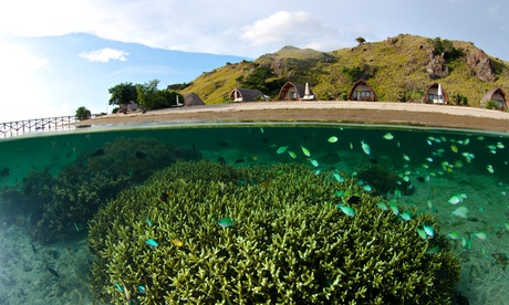 Komodo Resort