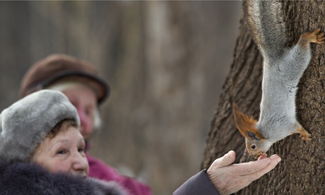 russian squirrel poachers on sarn