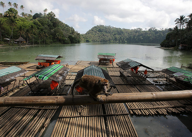 Week in Wildlife:  Seven Crater lakes are proclaimed as 'Threatened Lake of the year 2014'.