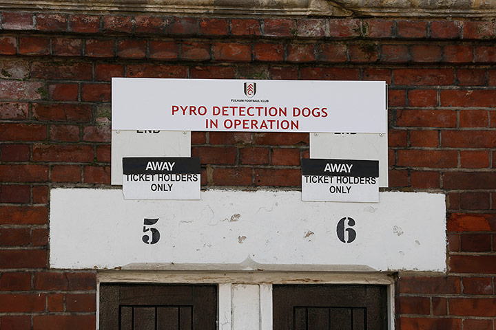 Fulham v Chelsea: Pyro Dogs