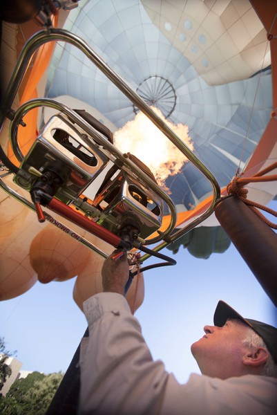2014 Adelaide Biennial: Patricia Piccinini's Skywhale
