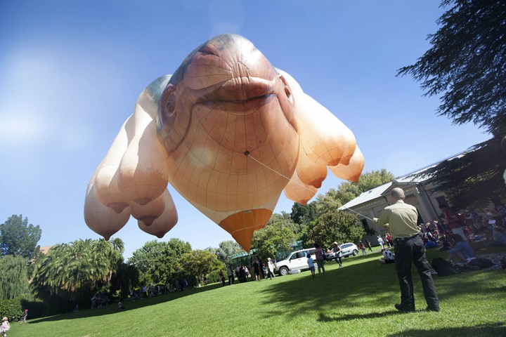 2014 Adelaide Biennial: Patricia Piccinini's Skywhale