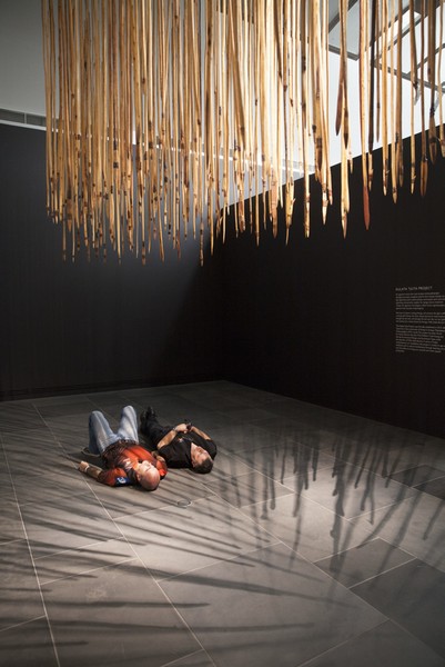 2014 Adelaide Biennial: The Kulata Tjuta Project
