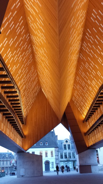 Your Pictures Clash: Modern roof vault and old architecture