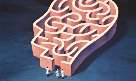 Scientists at the entrance to a head-shaped maze