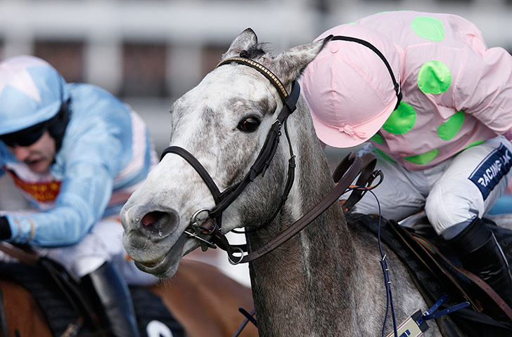Cheltenham day 1: Champagne Fever loses out in the Arkle Trophy to Western Warhorse 