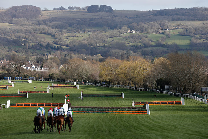 Cheltenham day 1: The runners in the Arkle Chase head out into the country 