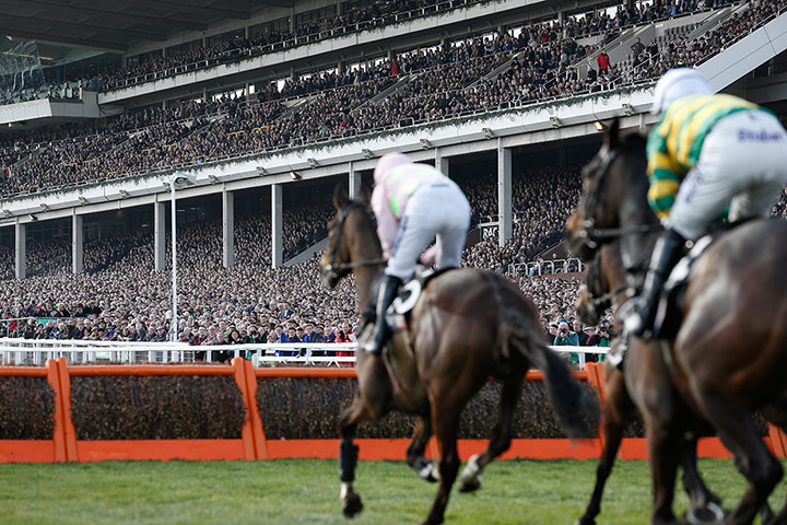 Cheltenham day 1: The packed grandstand watches the first race
