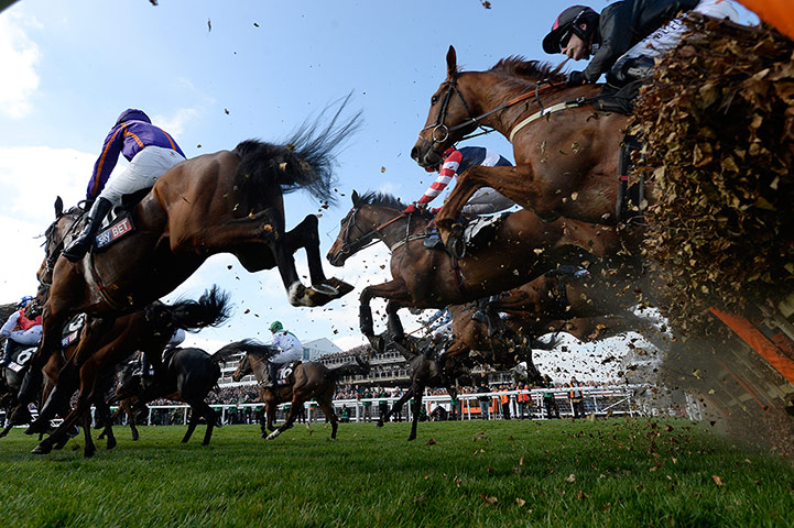 Cheltenham day 1: Runners in the first race crash through a hurdle
