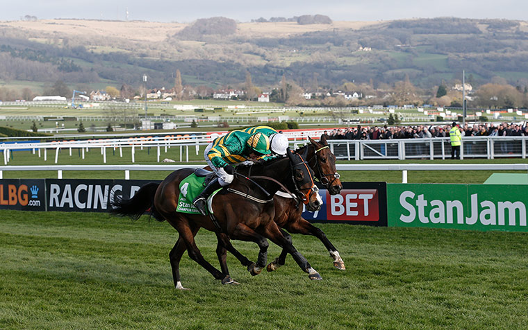 Cheltenham day 1: Jezki pips My Tent or Yours to the post
