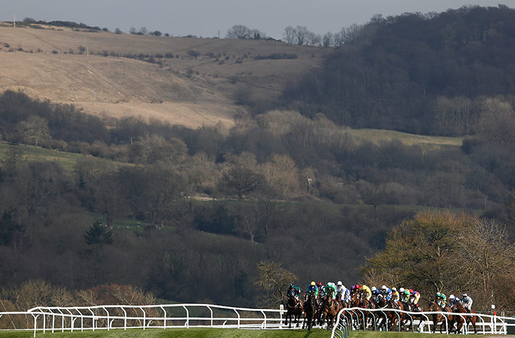 Cheltenham day 1: Runners in the third race start to descend the hill