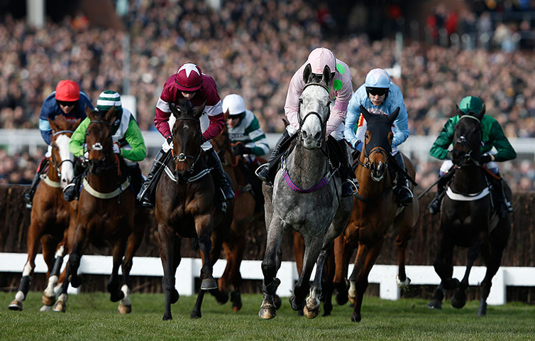 Cheltenham day 1: Champagne Fever leads the runners in the Arkle Chase