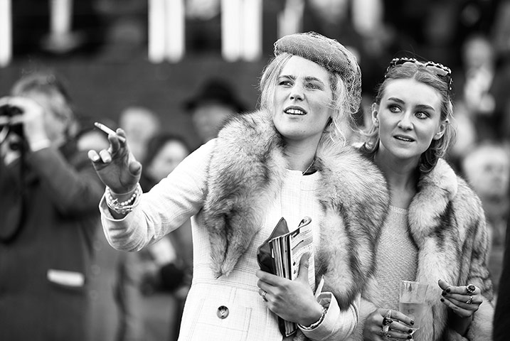 Cheltenham in b/w: Watching a race 