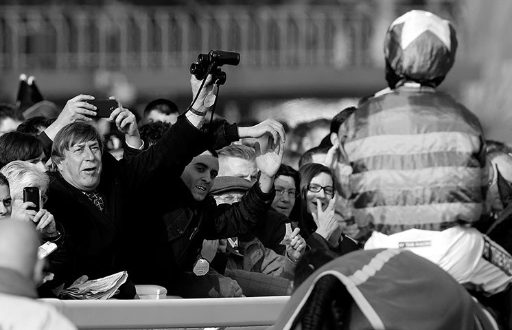 Cheltenham in b/w: Punters cheer More Of That 