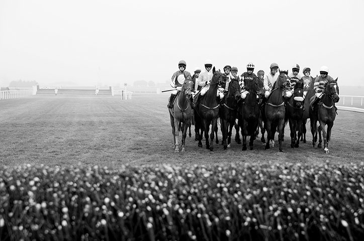 Cheltenham in b/w: Runners in the first race wait to start