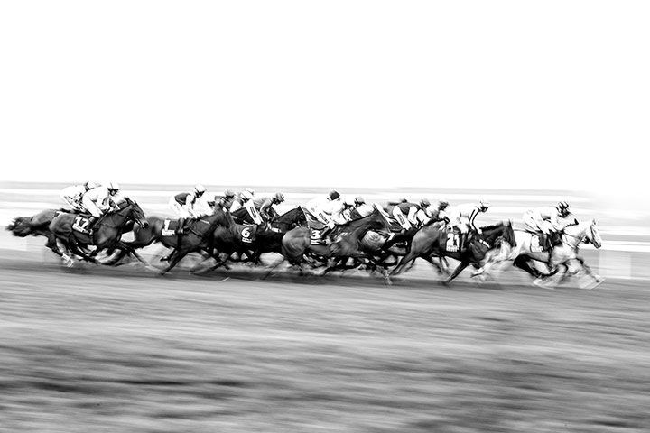 Cheltenham in b/w: Runners in the second race go down the back straight 