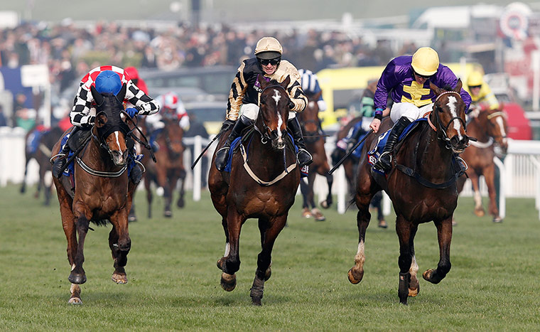 gold cup day: Cheltenham gold cup run in