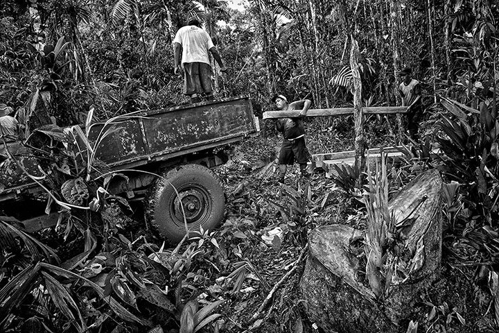 Rainforest: Illegal loggers in Peru