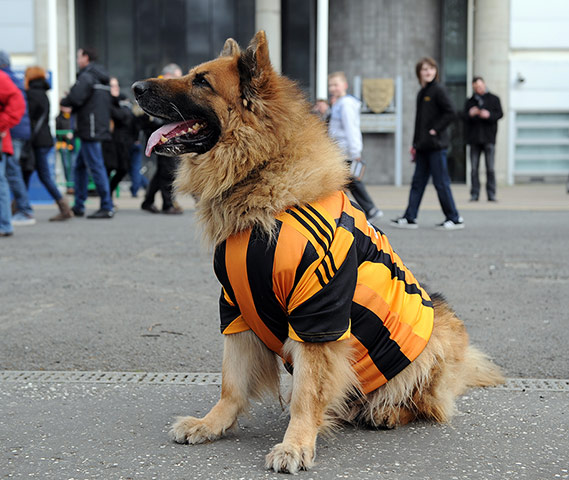 Hull v City: Hull City v Manchester City - Barclays Premier League