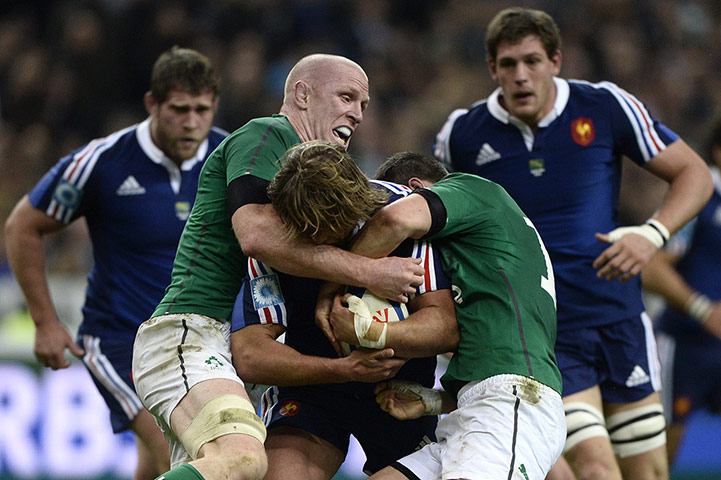 France and Ireland : Ireland's lock Paul O'Connell