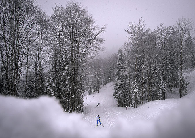 Best of Paraylmpics: Best of Paraylmpics