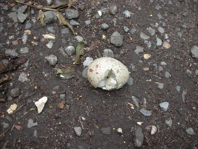 In Pictures: New: In Pictures: New