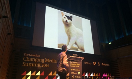 Kitler - the cat that looks like Hitler.