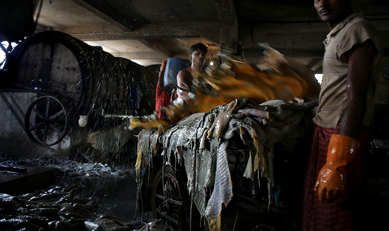 Tannery workers in India: The Life and Labor of Tannery Workers