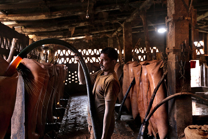 Tannery workers in India: Buffalo leather is doused with a salt solution 