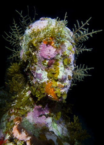 The Silent Evolution (450 statues) MUSA Collection 2010 Depth 8m Manchones Reef, Mexico.